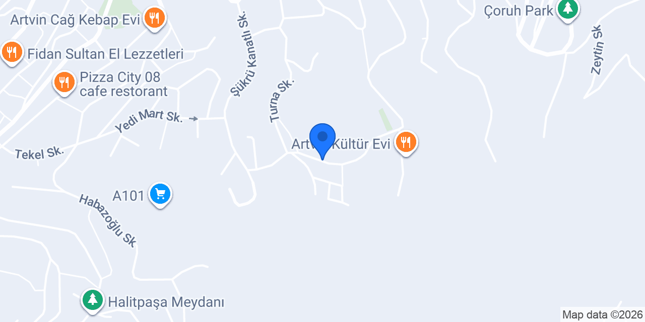 Alkan Sigortacılık konumu