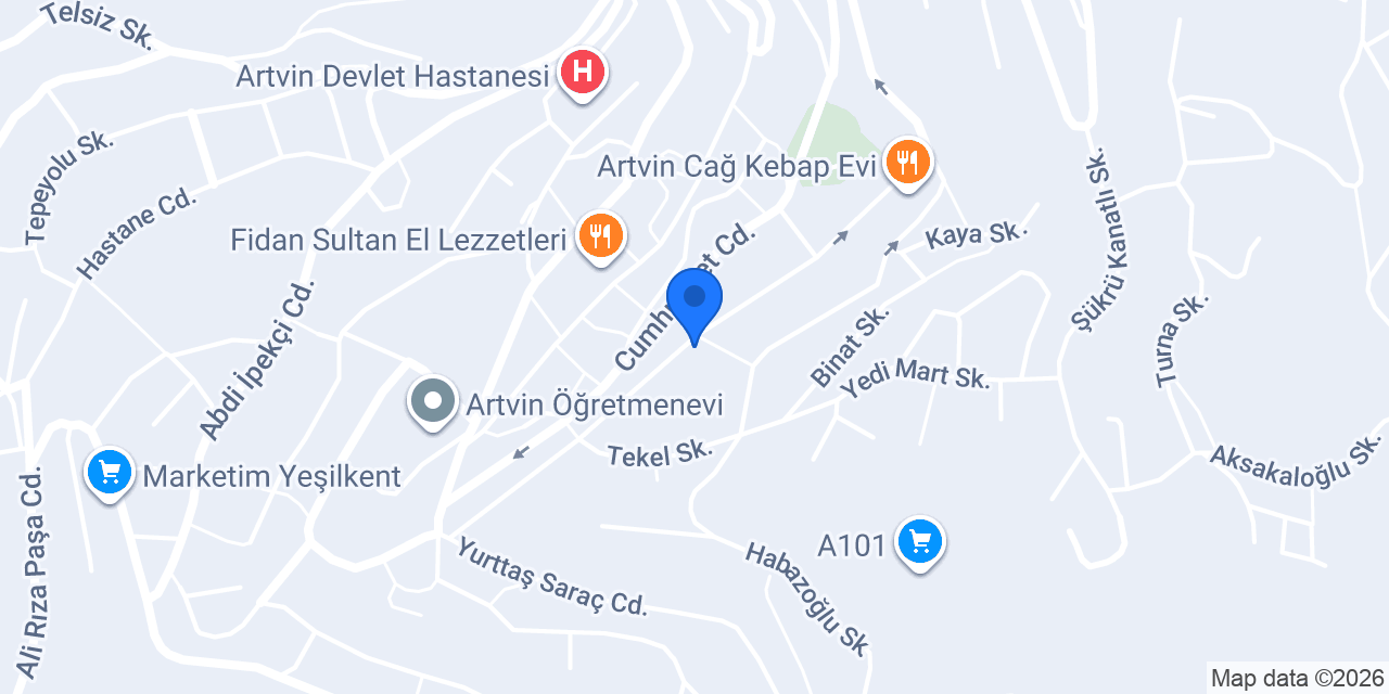 Artvin Lisesi konumu