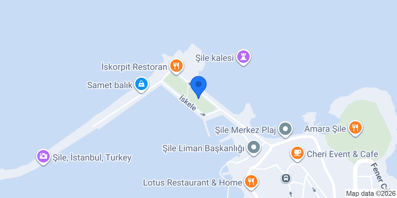 Artane Balık Şile konumu
