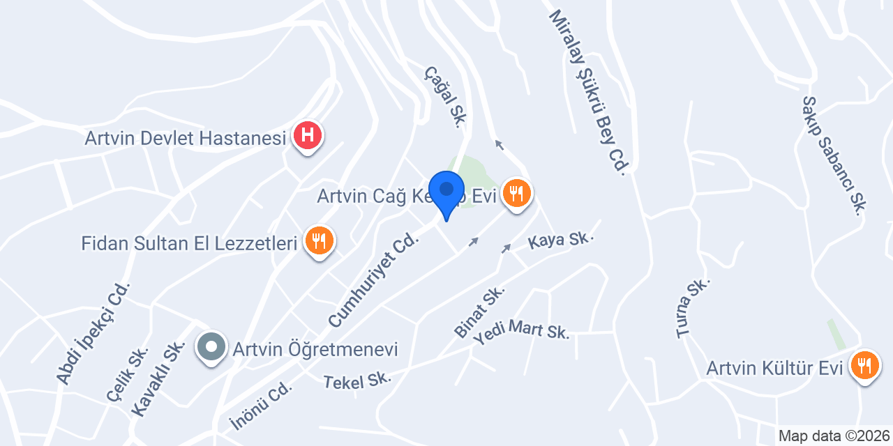 TANER AUTO konumu