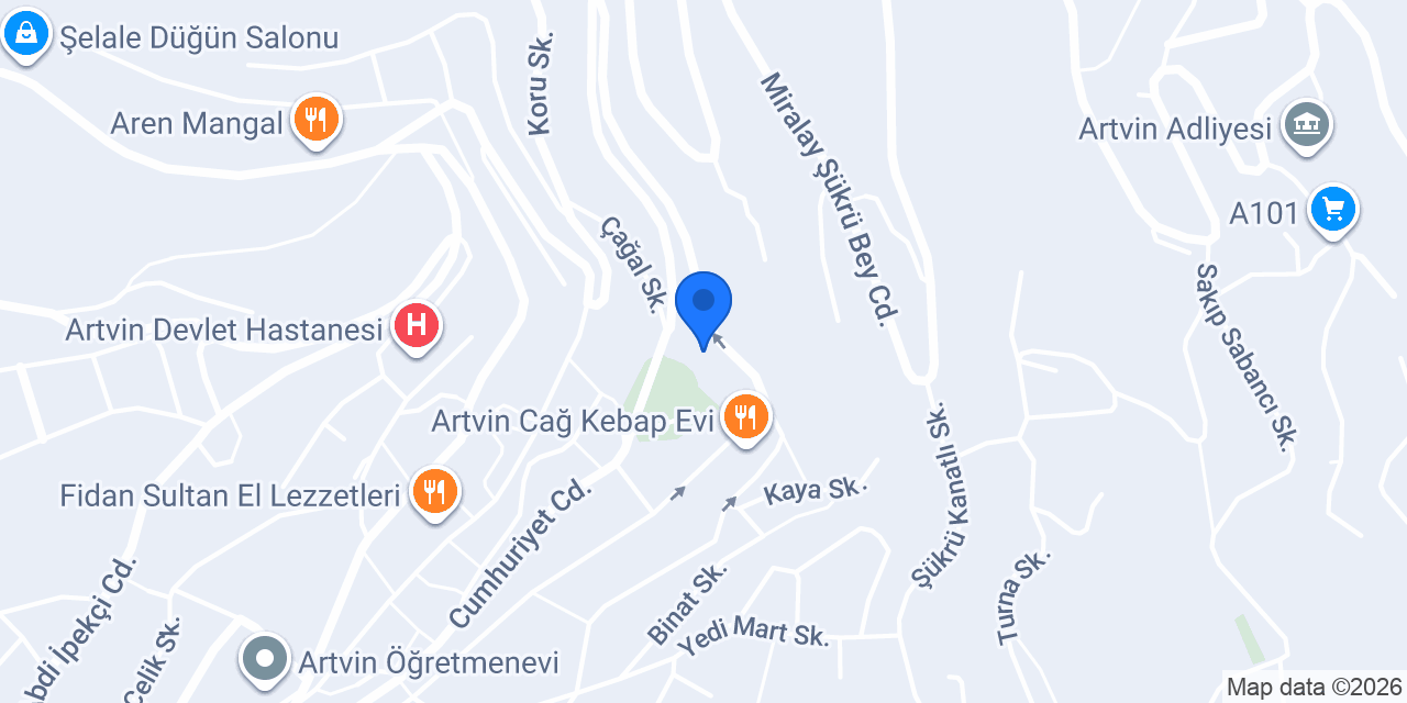 Artvin konumu