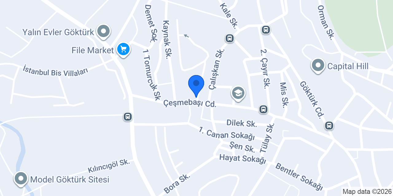 Sinerjik Sistemler AŞ konumu