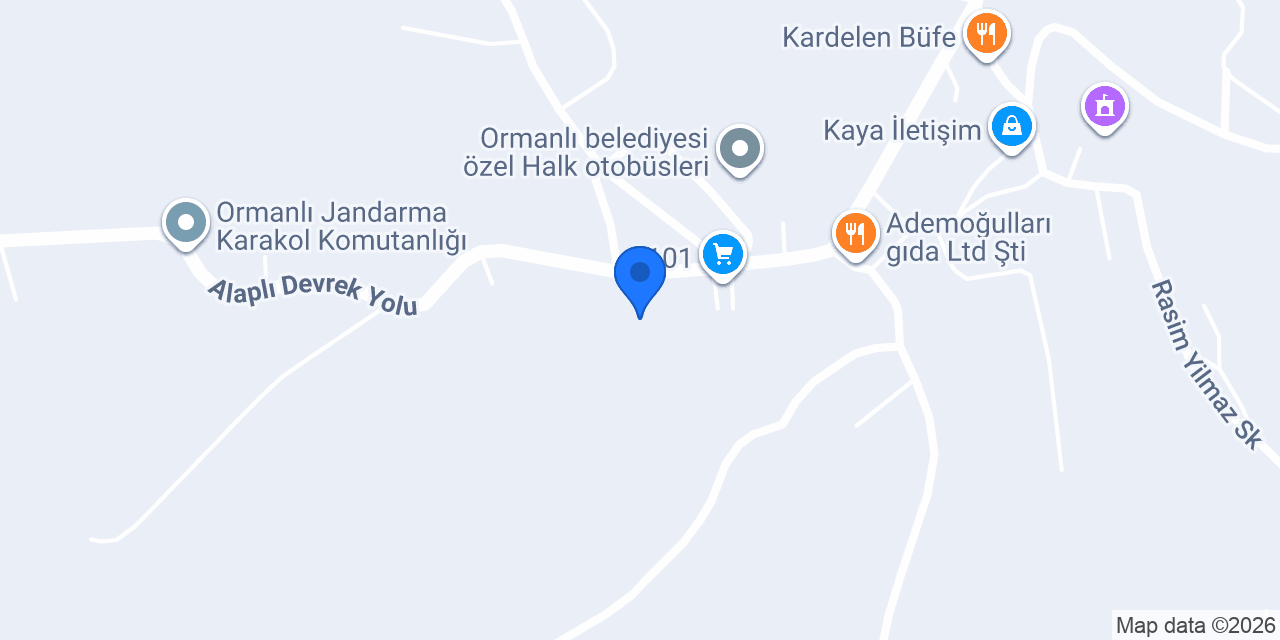 ormanlı ortaokulu konumu
