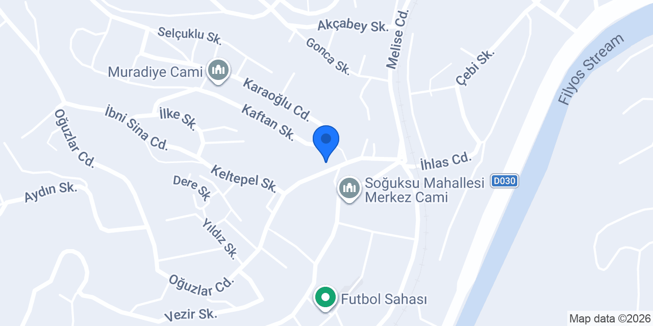 TAŞDELEN HARFİYAT konumu