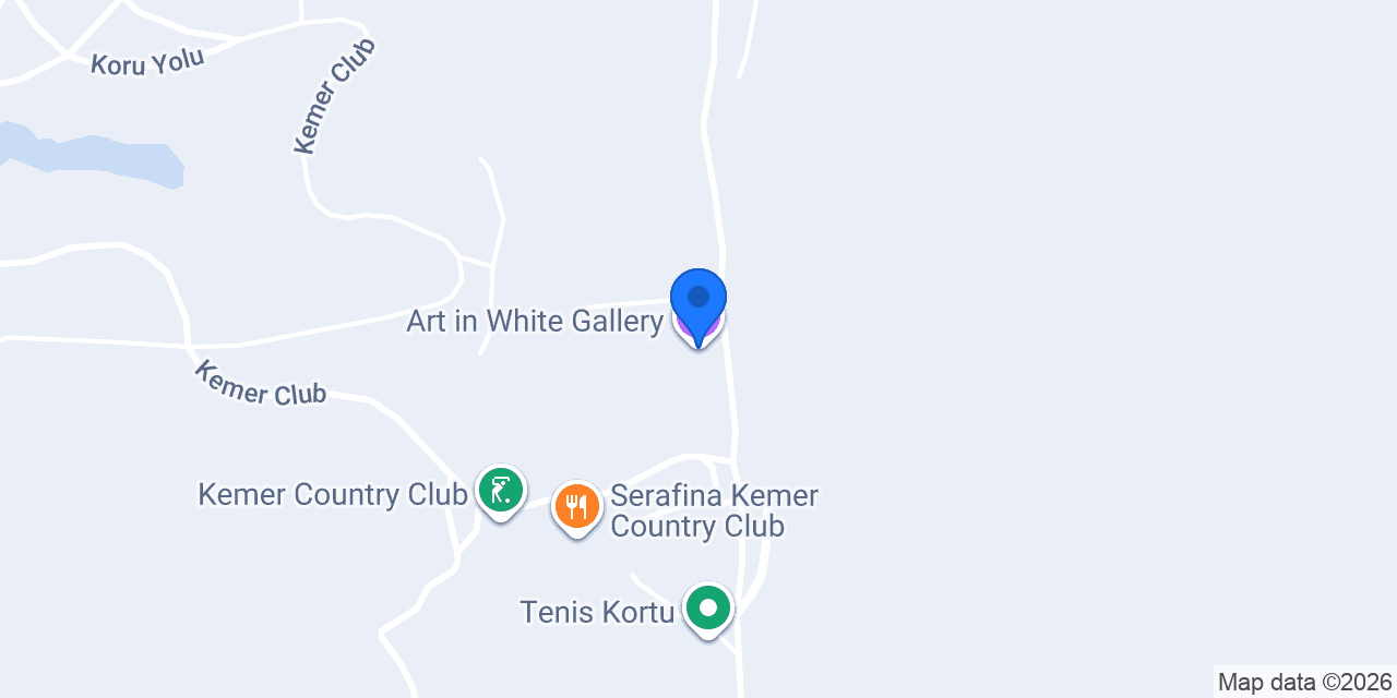 Art in White Gallery konumu