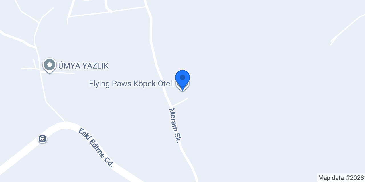 Flying Paws Köpek Oteli konumu