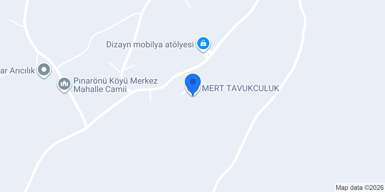MERT TAVUKCULUK konumu