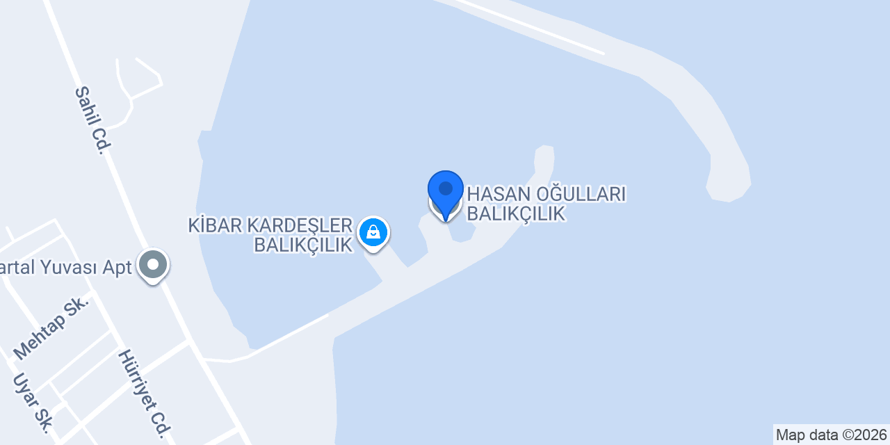 HASAN OĞULLARI BALIKÇILIK konumu