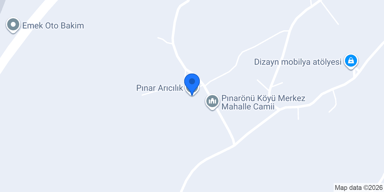 Pınar Arıcılık konumu