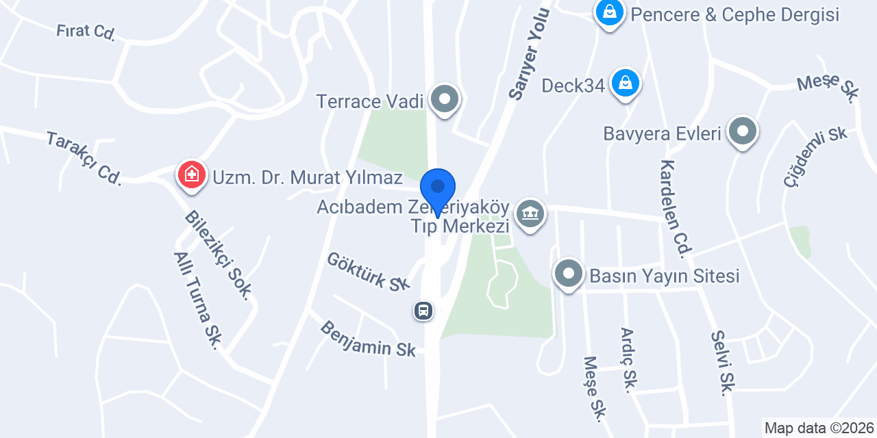 Bahaneciceksarıyer konumu