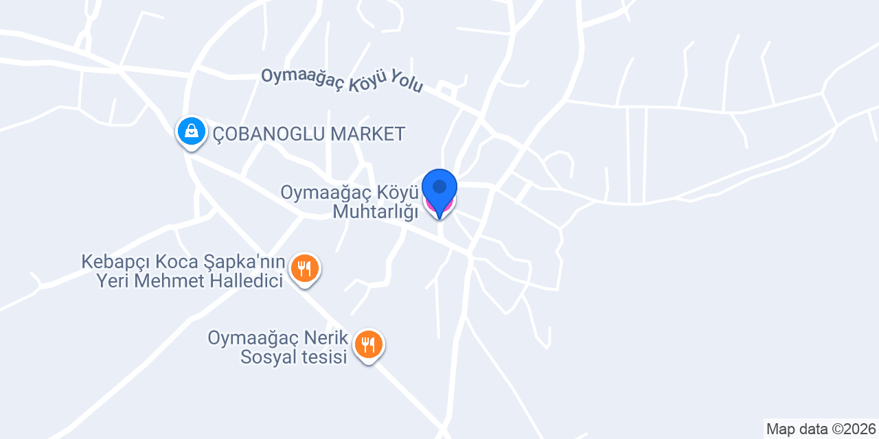 Oymaağaç Köyü Muhtarlığı konumu