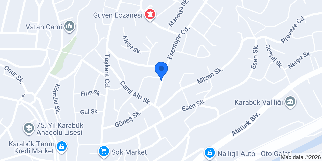 Anayasa İlköğretim Okulu konumu