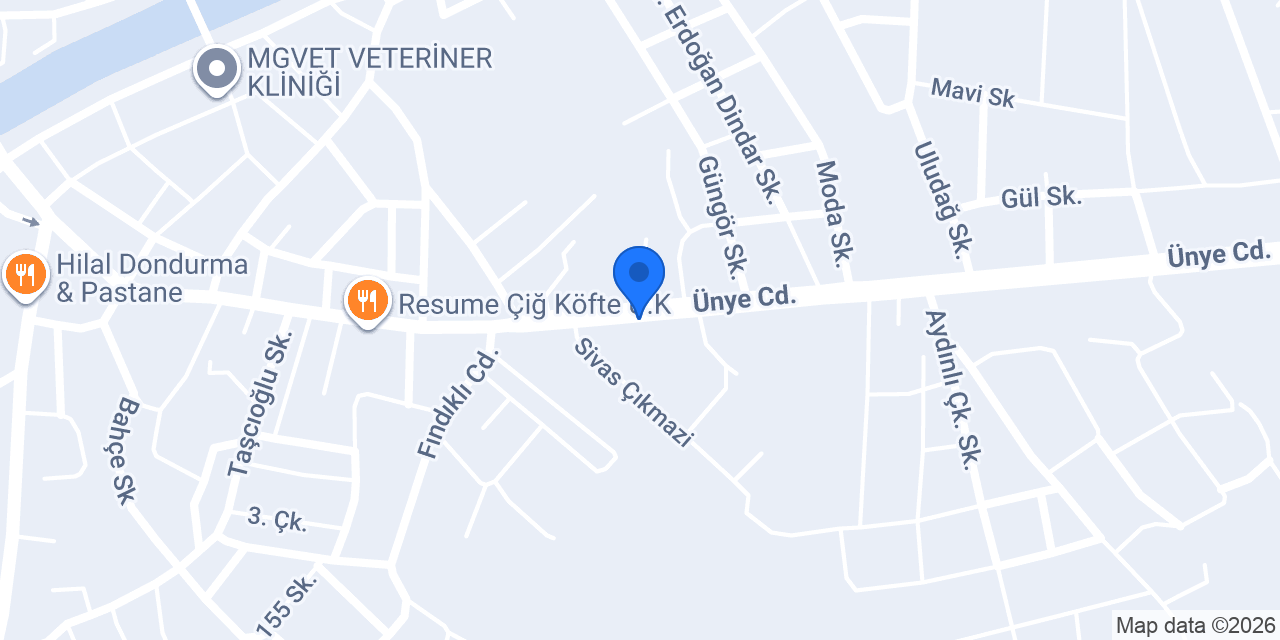 Bodur otogaz konumu