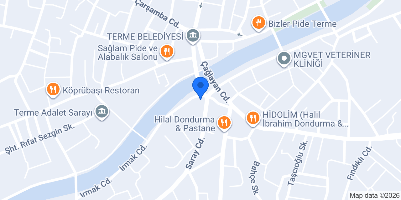 Terme Özel Eğitim Anaokulu konumu