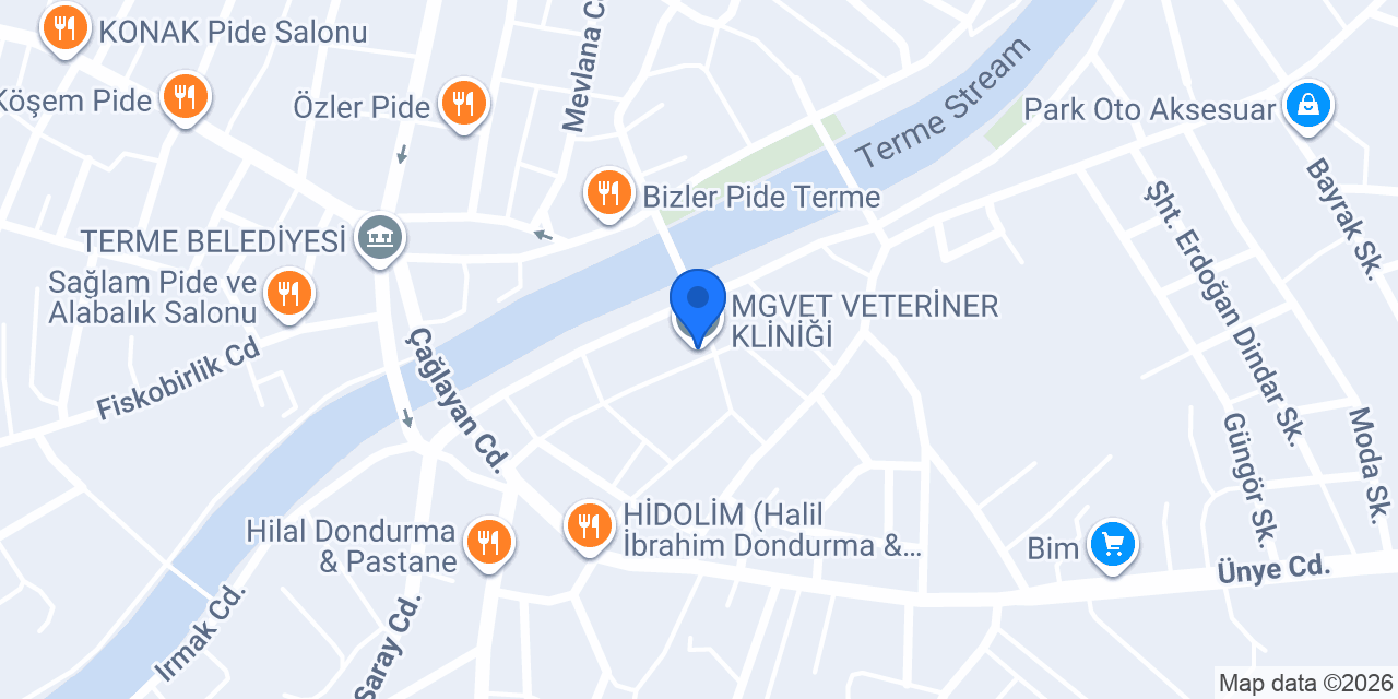 MGVET VETERİNER KLİNİĞİ konumu