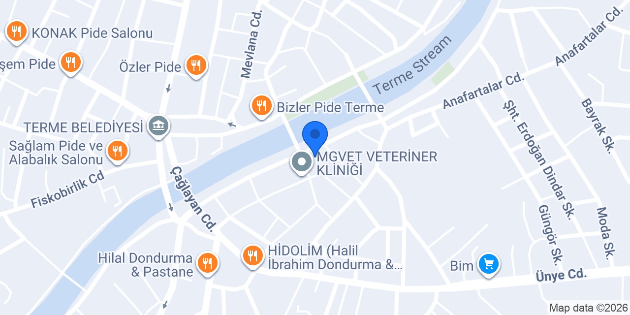 Eşref usta Terme konumu