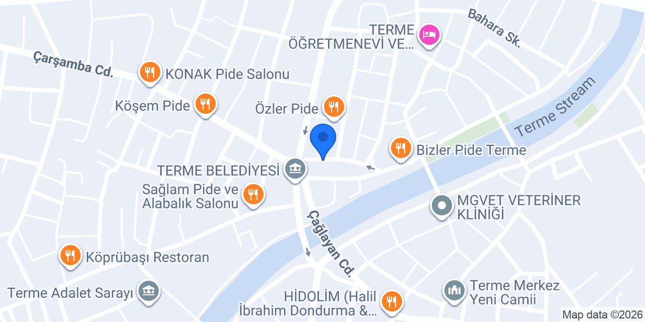 Terme Lider Sigorta konumu