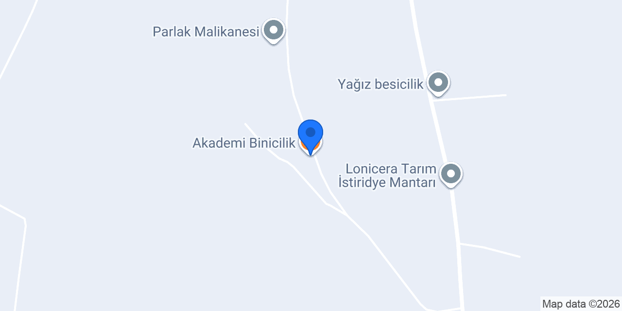 Akademi Binicilik konumu