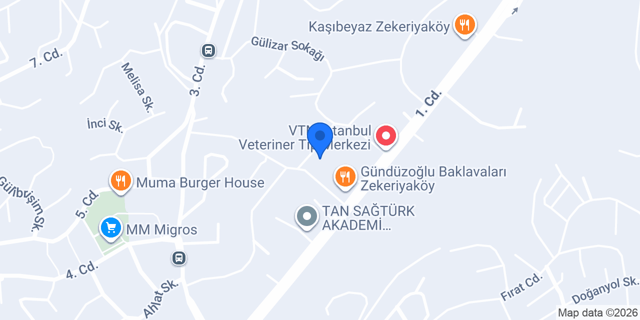 Renas Tesisat konumu