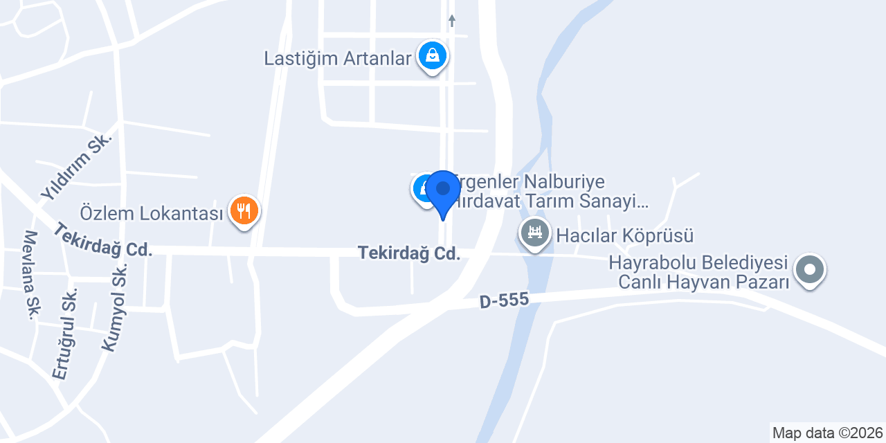 ÇINAR MASAL EV YEMEKLERİ konumu