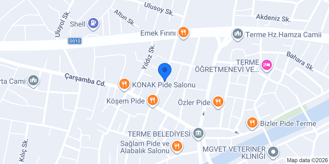 Aras Kargo Terme Şubesi konumu