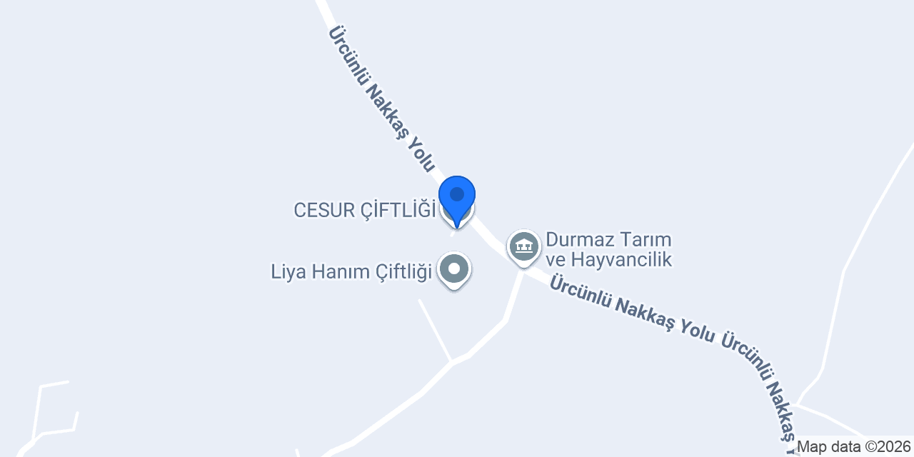 CESUR ÇİFTLİĞİ konumu