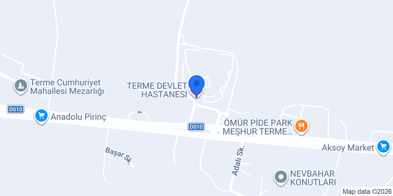 TERME DEVLET HASTANESİ konumu