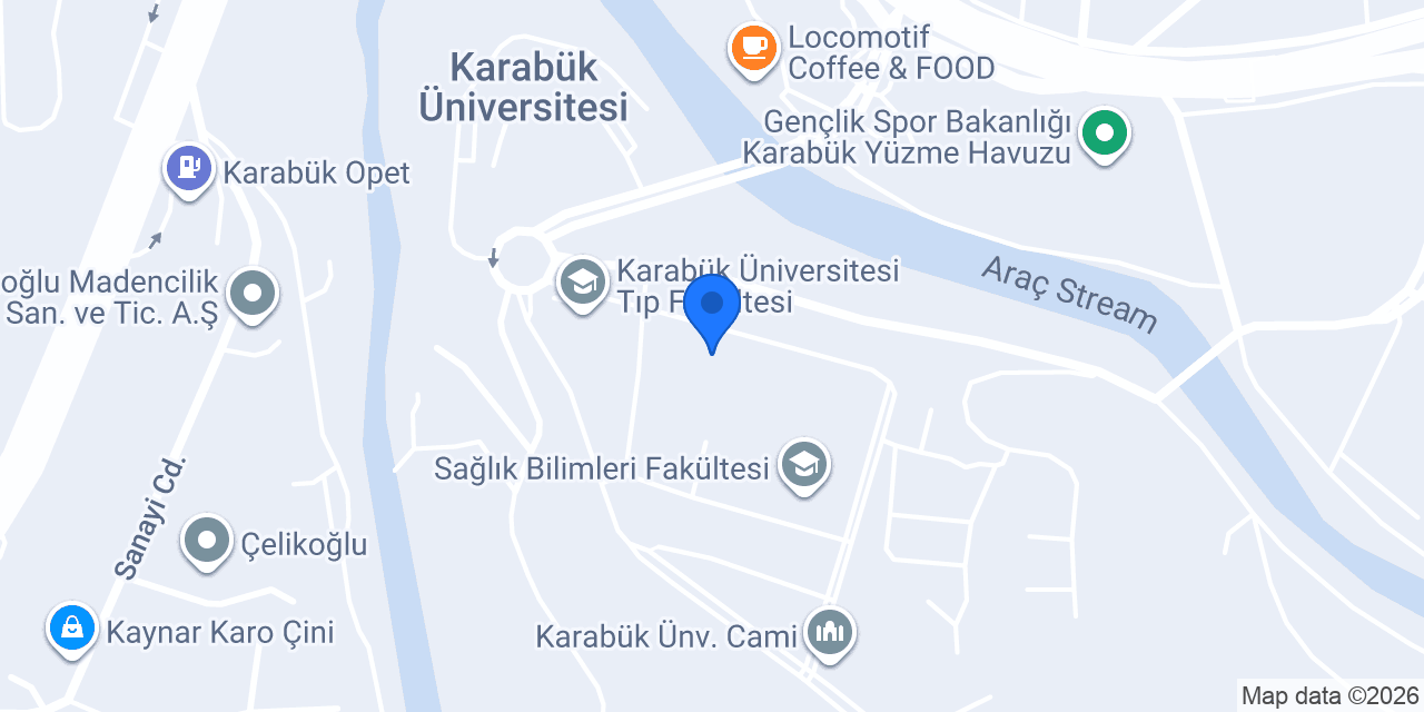 Genç Bilişim konumu