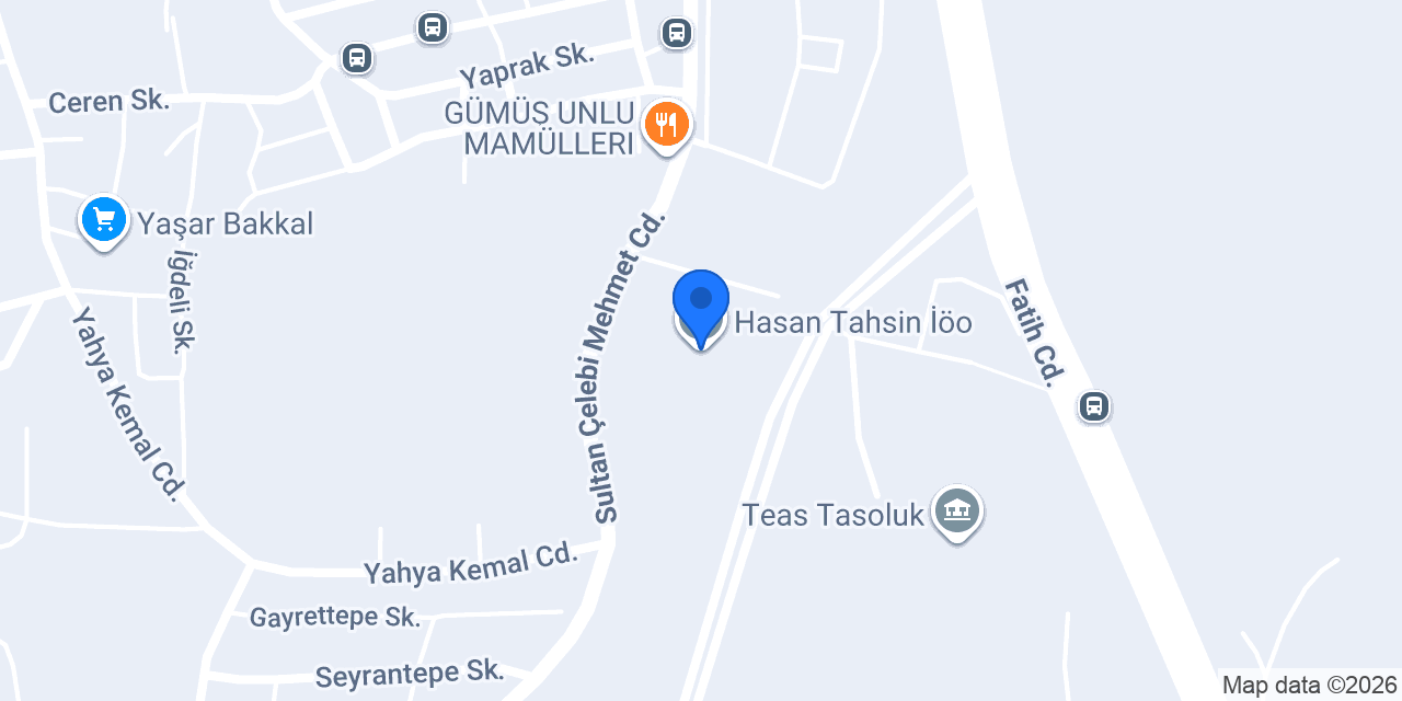 Hasan Tahsin İöo konumu