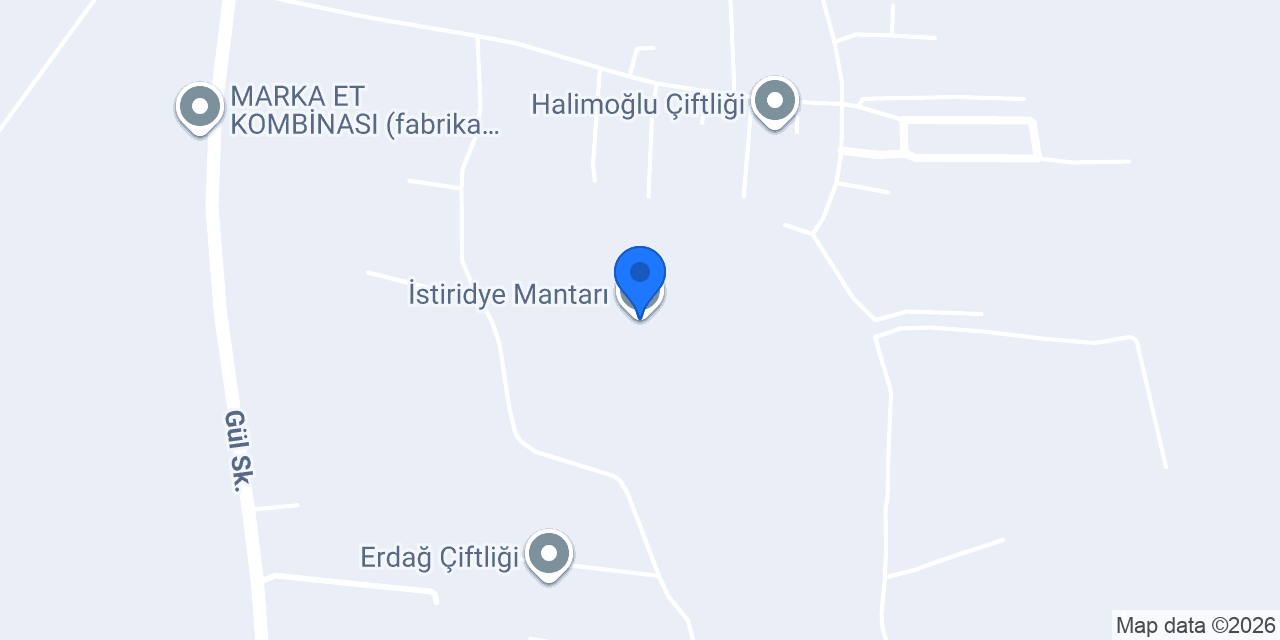 İstiridye Mantarı konumu