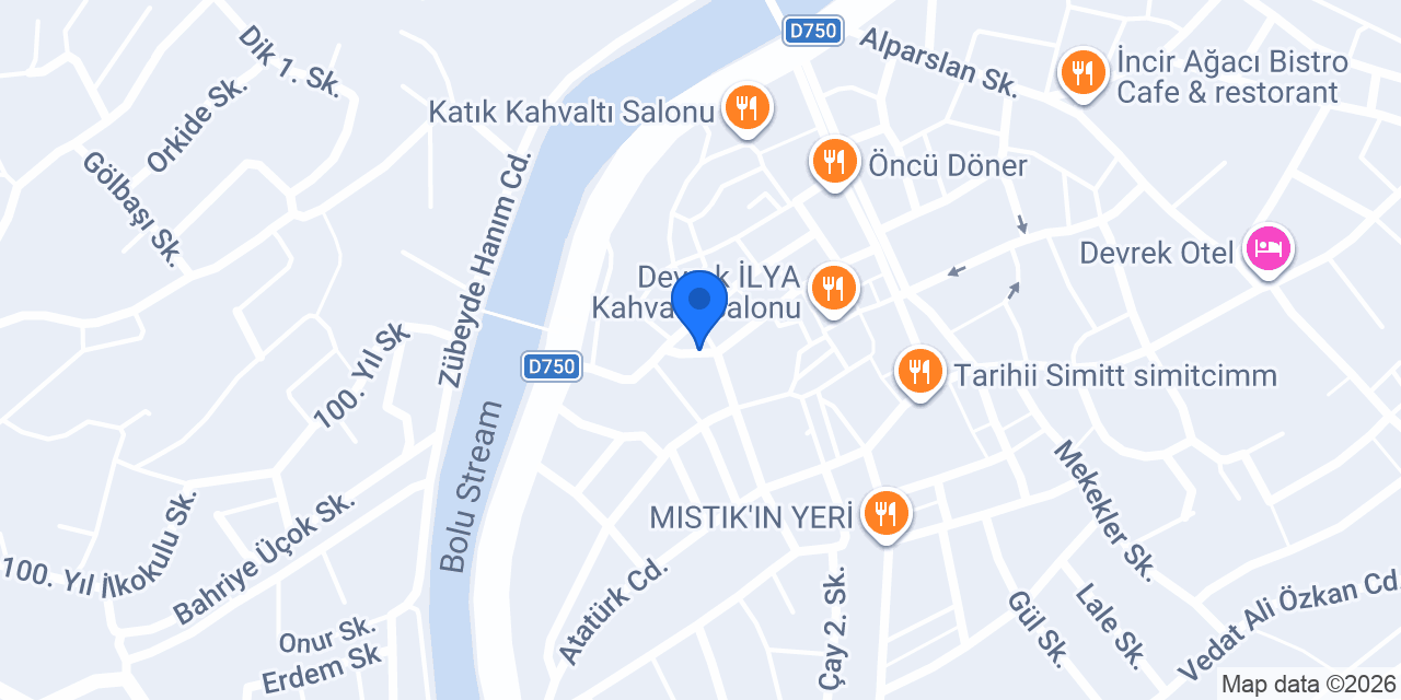 Gürses Elektronik konumu