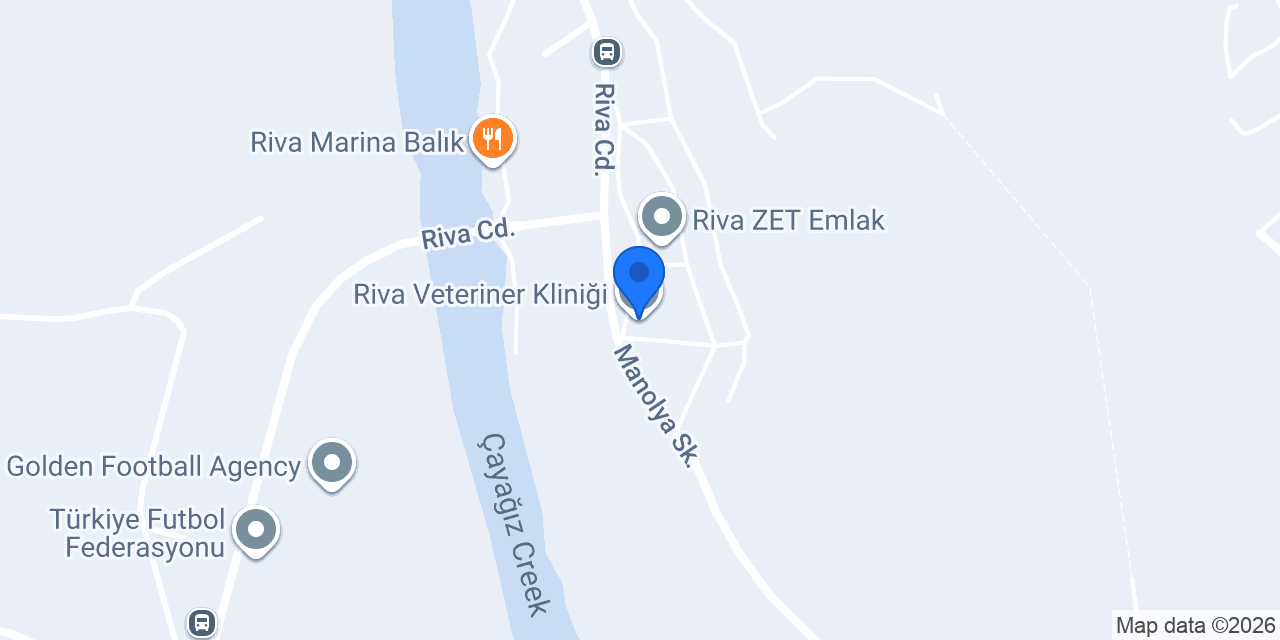 Riva Veteriner Kliniği konumu