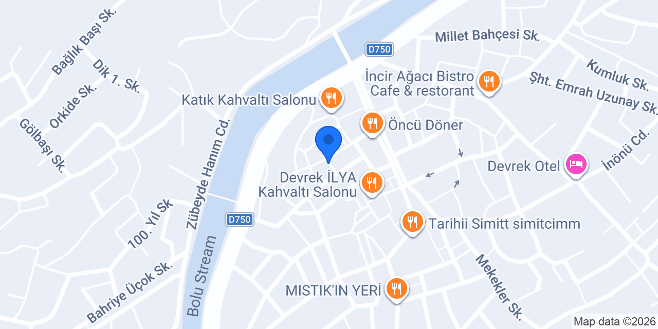 Dost Veteriner Kliniği konumu