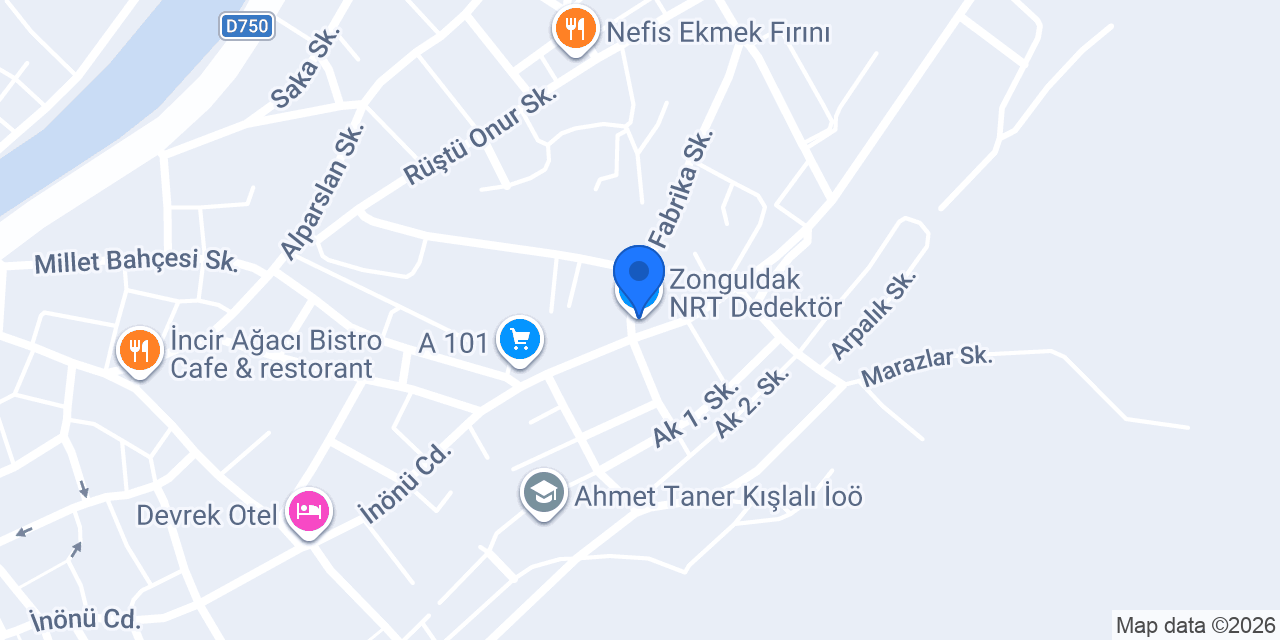 Zonguldak NRT Dedektör konumu