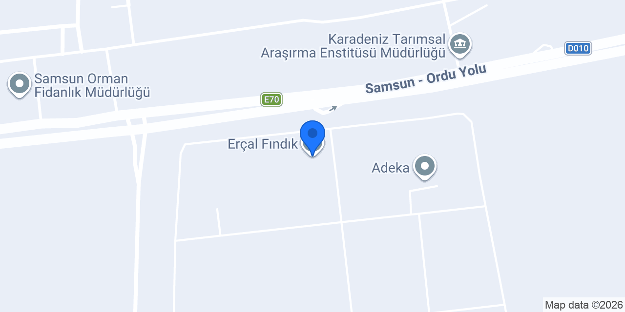 Erçal Fındık konumu