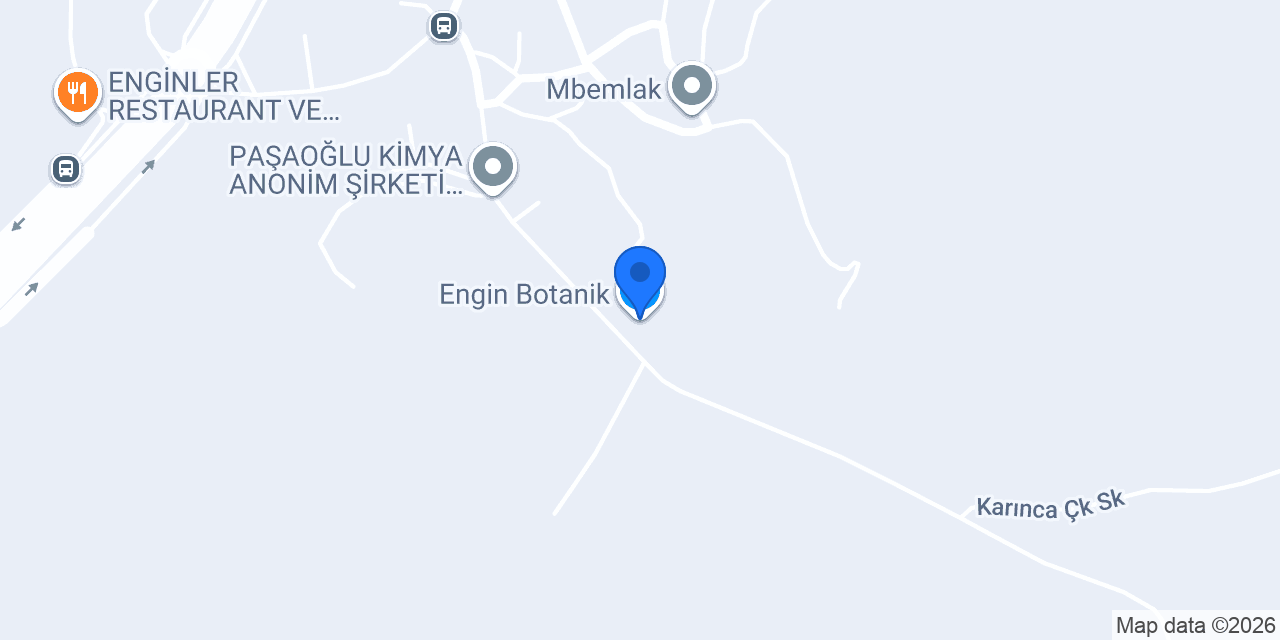 Engin Botanik konumu