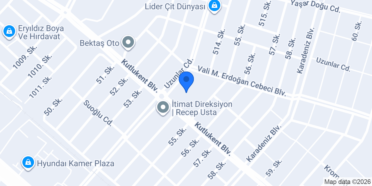 Klas erkek Berberi konumu