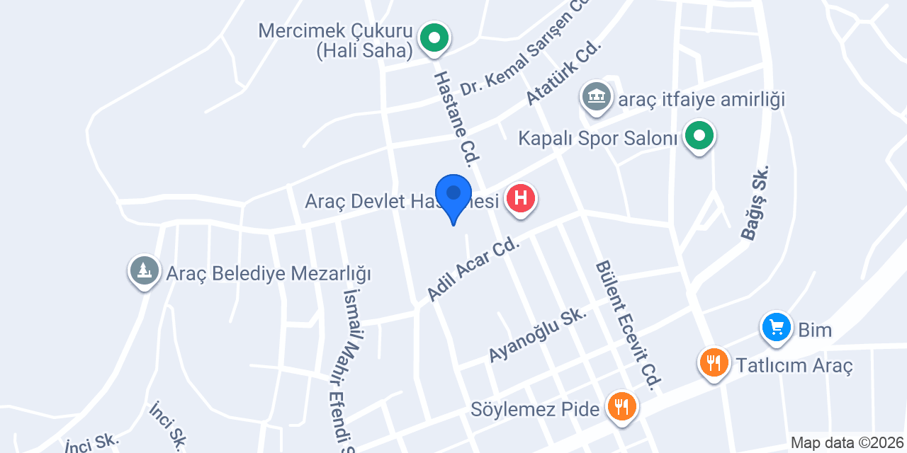 Araç Çok Programlı Anadolu Lisesi konumu
