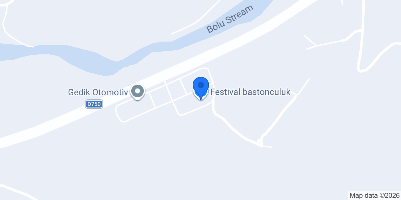 Festival bastonculuk konumu