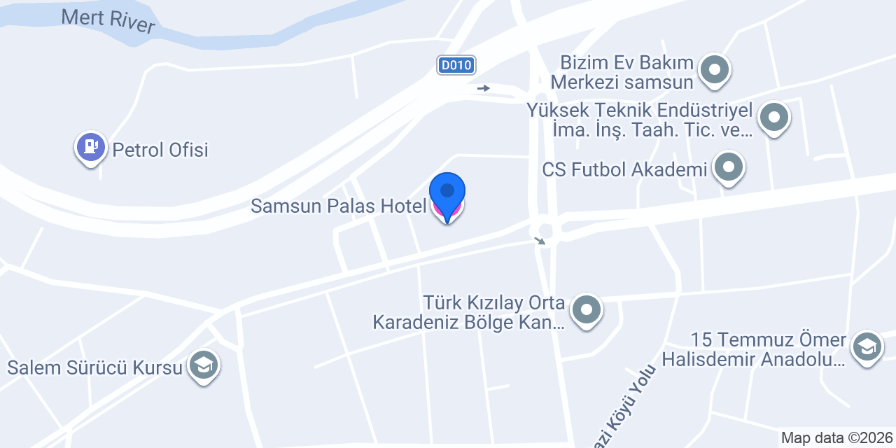 Samsun Palas Hotel konumu