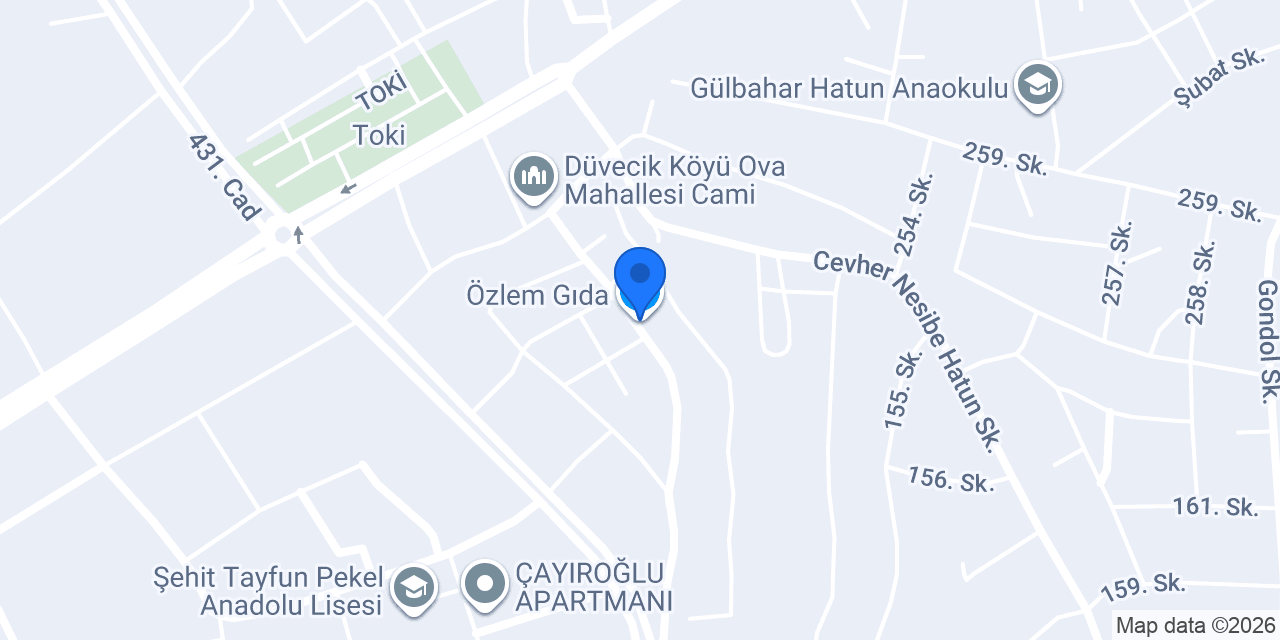 Özlem Gıda konumu