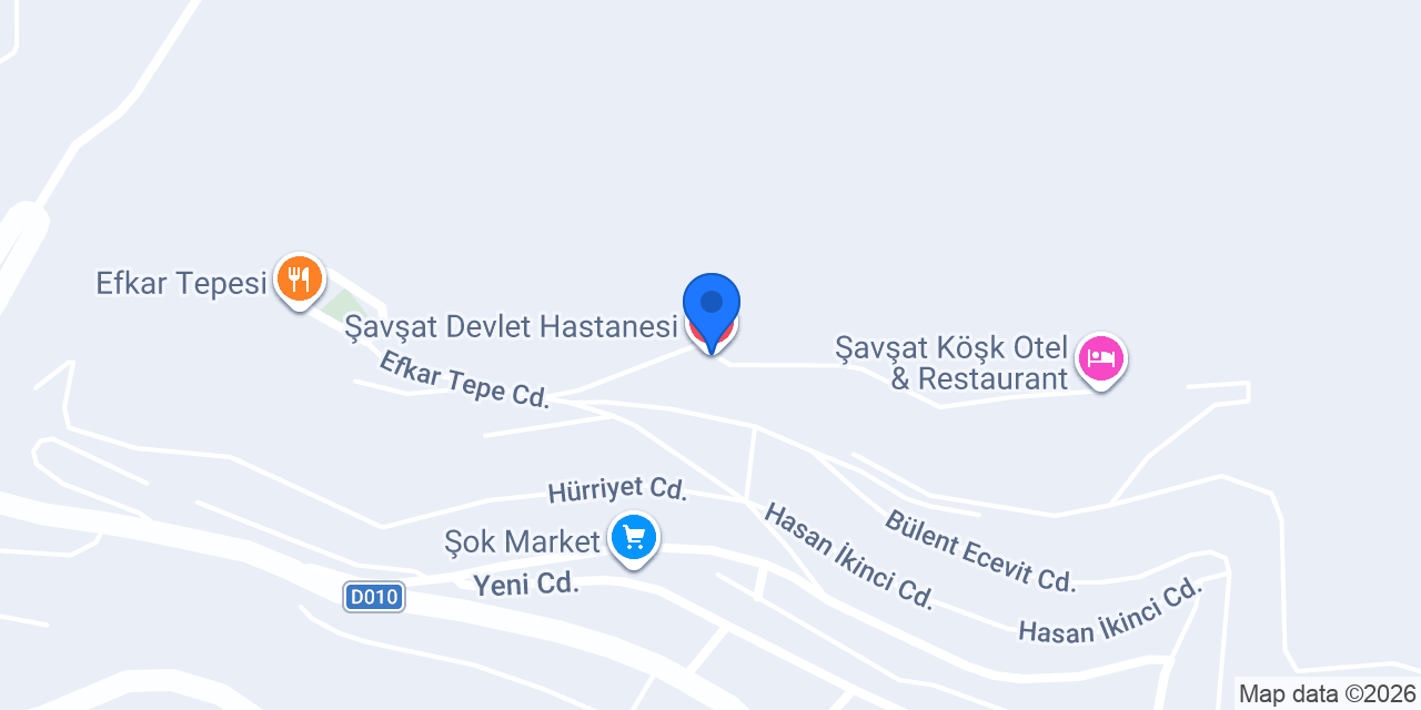 Şavşat Devlet Hastanesi konumu