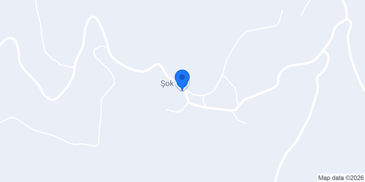 Şok konumu