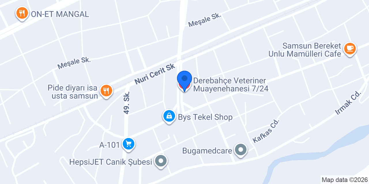 Derebahçe Veteriner Muayenehanesi 7/24 konumu