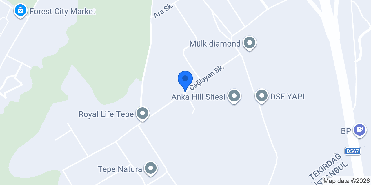 Dünce Group konumu