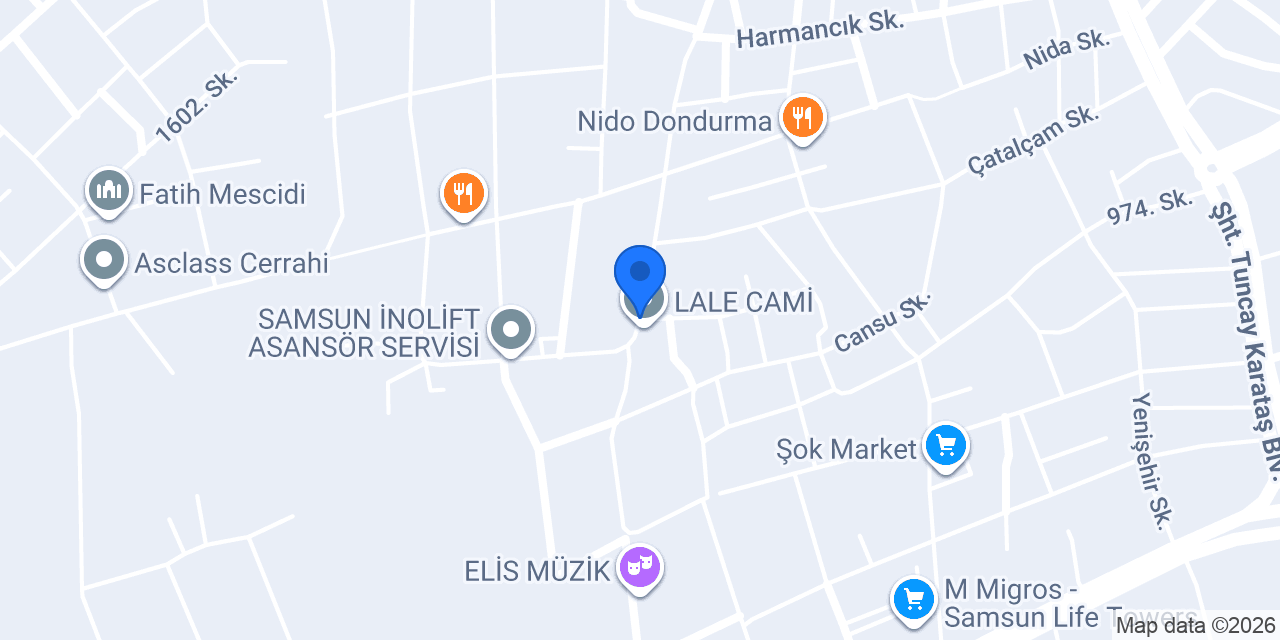 Samsun 3D Tarama konumu