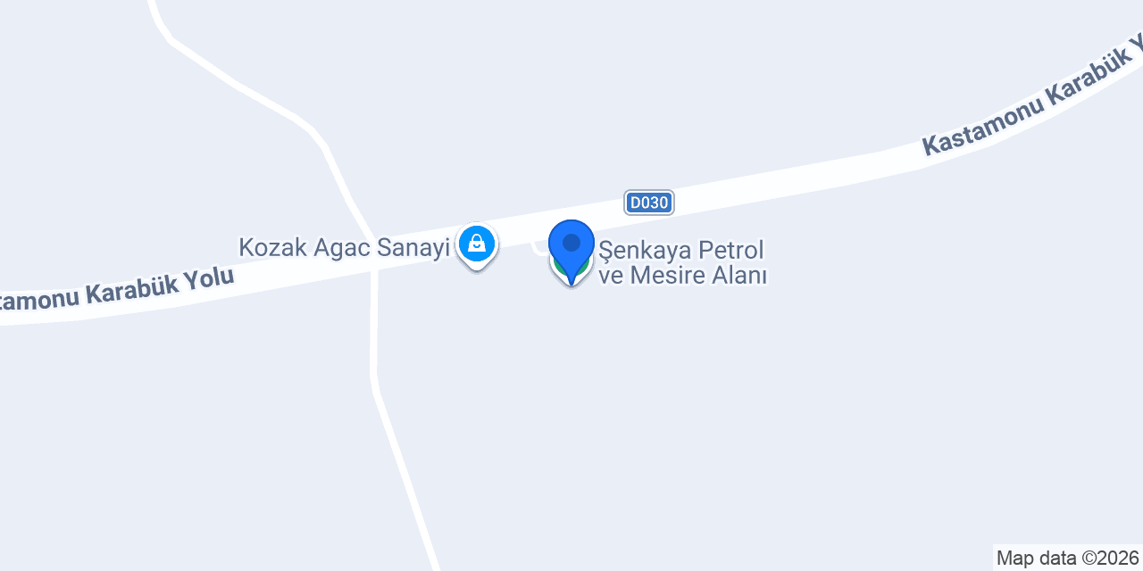 Şenkaya Petrol ve Mesire Alanı konumu