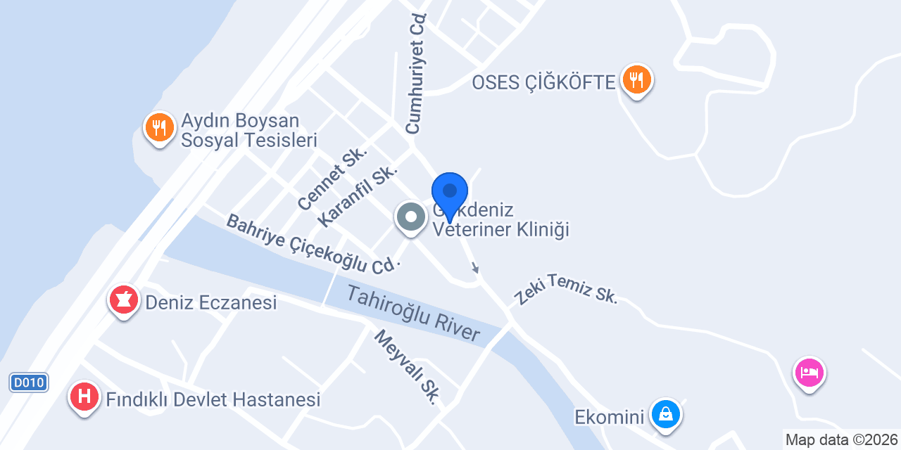 Çebinoğlu Küme evleri konumu
