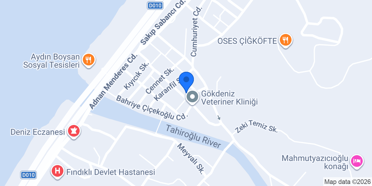 Sanat Evi Sait Şengül konumu