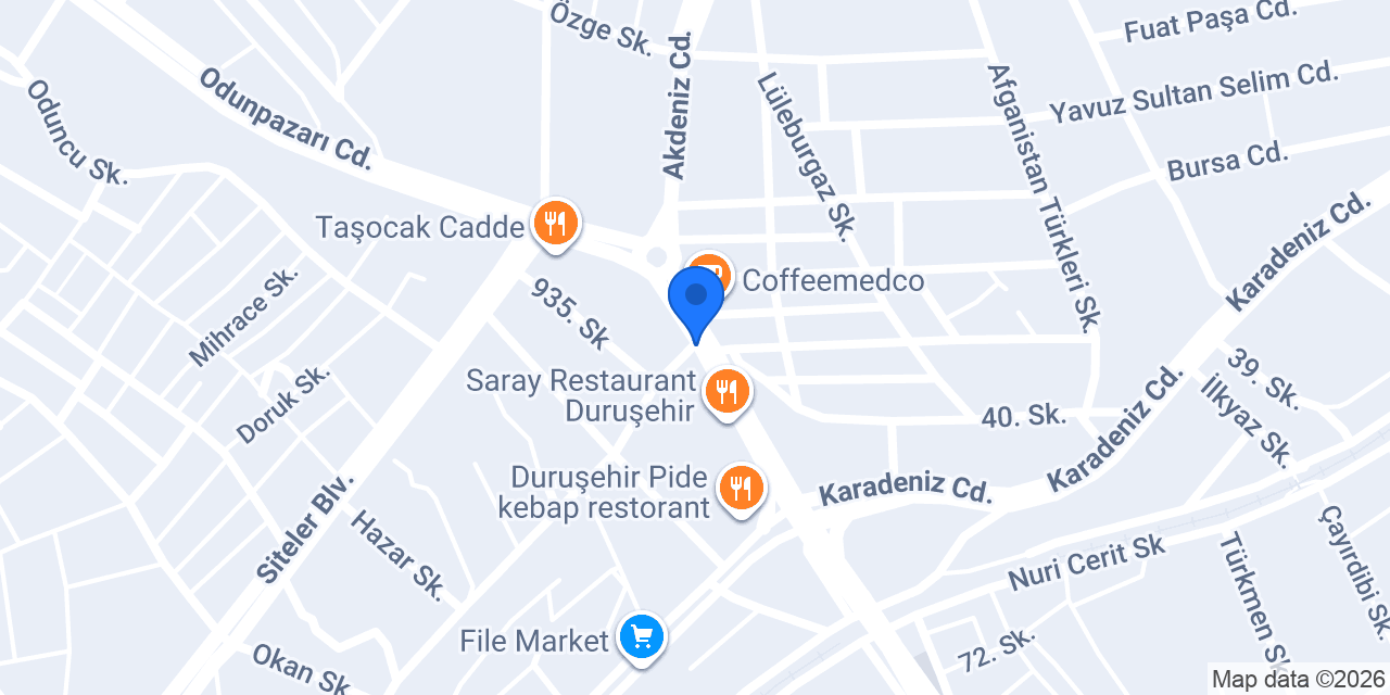 Vira Balık Restoran Samsun konumu
